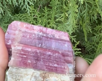 Roze toermalijnkristal in matrix, ruwe roze toermalijn, Minas Gerais-toermalijn, rubellite-toermalijnkristallen in matrix, roze toermalijn