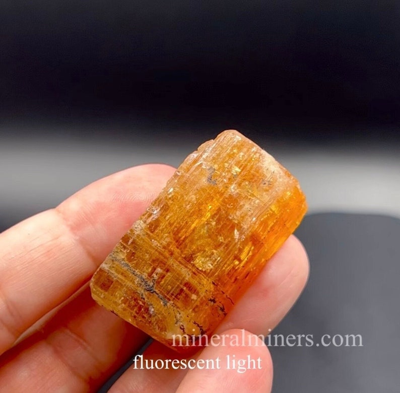 May include: A close-up of a bright orange, translucent, rectangular crystal with striations. The crystal is being held in a hand. The text "mineralminers.com fluorescent light" is visible in the lower right corner of the image.