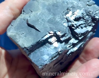 Natural Cubic Galena Crystal Specimen, Brilliant Metallic Silver Luster, 1.3 pound Collector Mineral from Chihuahua Mexico, Rock Decor