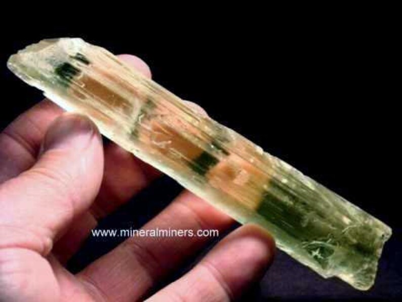 Natural Gemmy Yellow Kunzite Crystal, photo was taken inside under fluorescent lights.