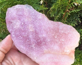 May include: A large, rough-hewn, light pink rose quartz crystal. The stone has a textured surface and varying shades of pink. The background is a backdrop of green foliage.