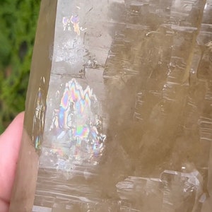 Close up view of Rainbows on Natural Color Citrine Rough - photo was taken outside under indirect sunlight.