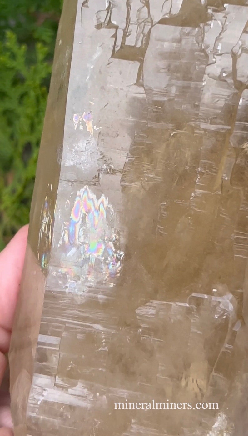 Close up view of Rainbows on Natural Color Citrine Rough - photo was taken outside under indirect sunlight.