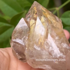 Small Elestial Quartz Crystal, Jacare Crystal, Natural Quartz Specimen, Genuine Elestial Mineral Specimen, Terminated Skeletal Quartz
