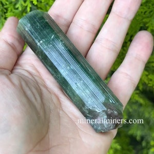 Watermelon Tourmaline Crystal, 3.6&quot; Bi-Color Tourmaline Wand, Museum Quality Watermelon Specimen, Genuine Collector Brazilian Tourmaline