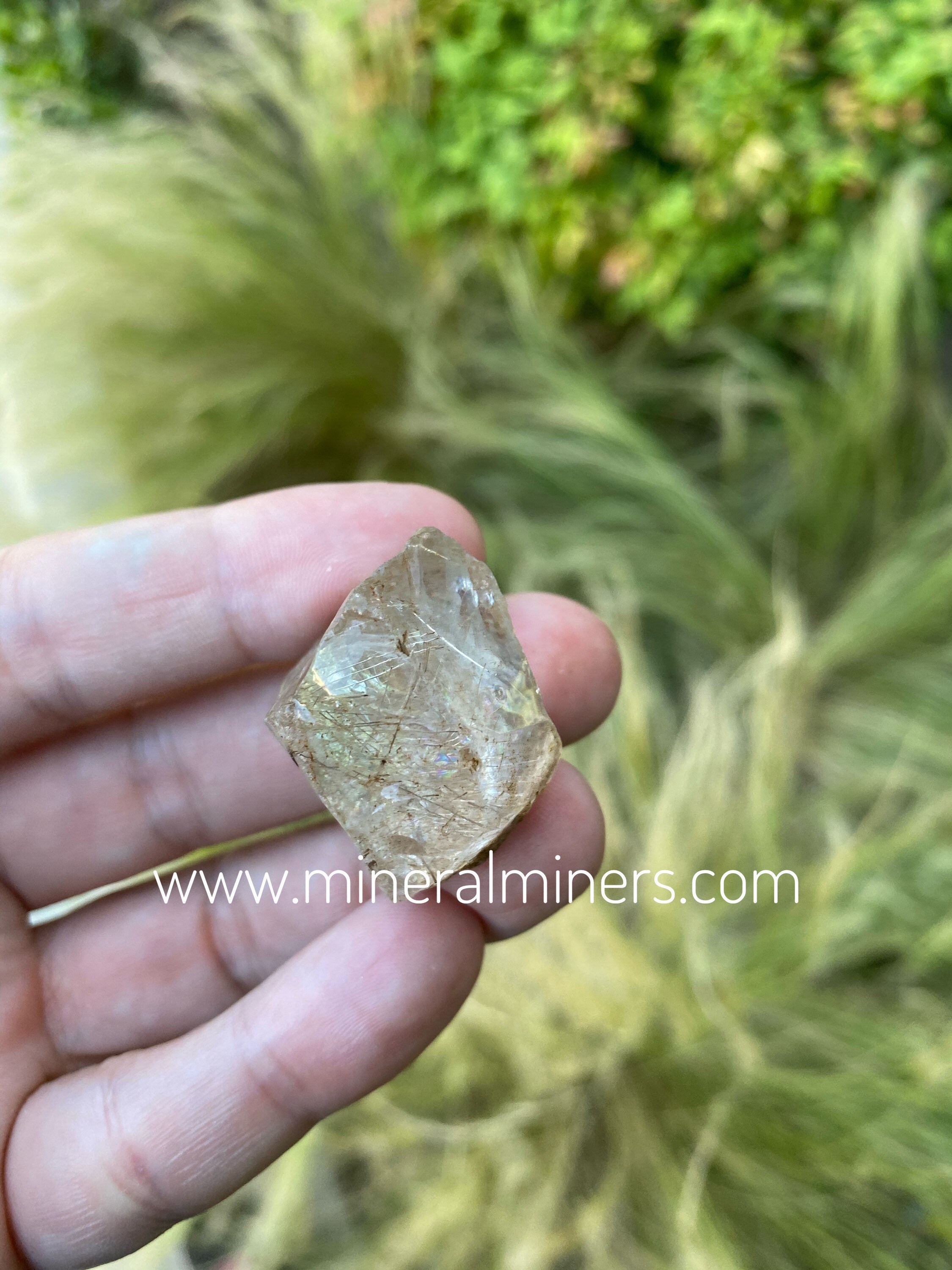High Quality Rutilated Quartz Pieces Rutilated Quartz Raw Etsy