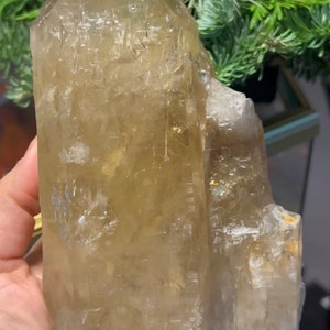 Natural Color Citrine Rough - photo was taken inside under fluorescent lights.