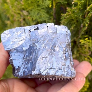 May include: A large, irregularly shaped, metallic silver mineral specimen. The surface has a textured, crystalline appearance with reflective qualities. The background features green foliage, and the mineral is held in a hand.