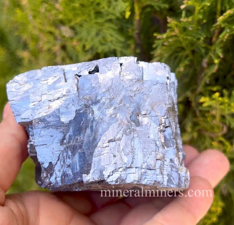 May include: A large, irregularly shaped, metallic silver mineral specimen. The surface has a textured, crystalline appearance with reflective qualities. The background features green foliage, and the mineral is held in a hand.