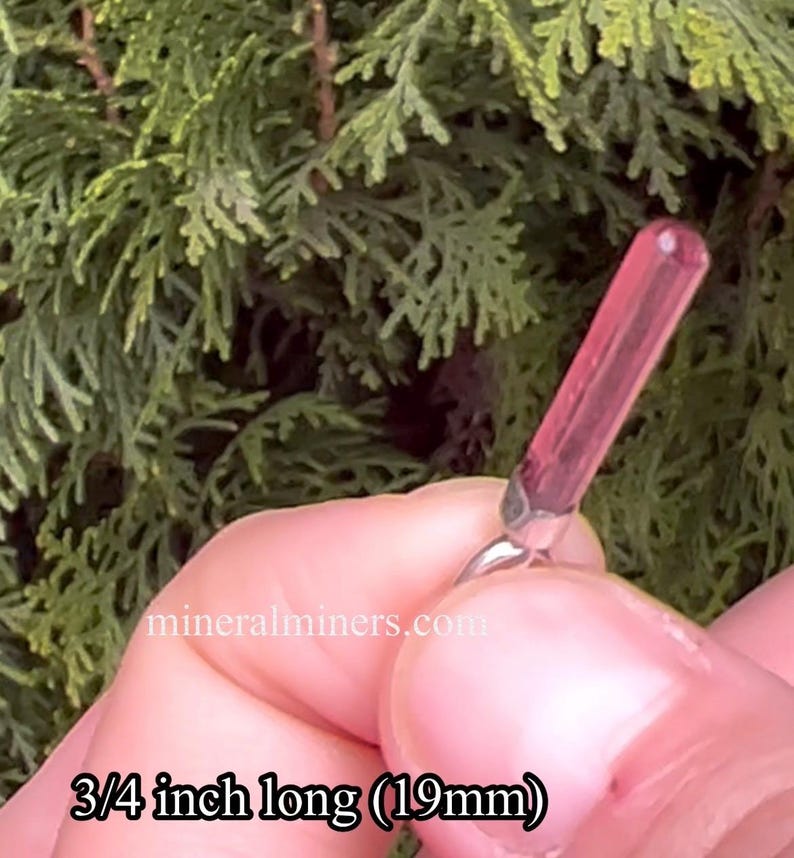 May include: A pink crystal point, approximately 3/4 inch long (19mm), held in a hand. The crystal is clear and has a slight pink hue.