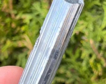 Stibnite Crystal, Natural Antimonite, 5 inch long Stibnite Mineral Specimen, Metallic Luster Bent Stibnite, Terminated Bended Crystal