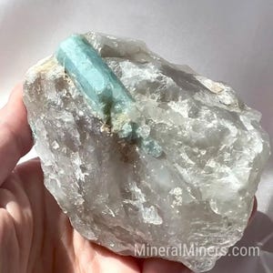 Puede incluir: Un cristal de aguamarina azul claro incrustado en una matriz de cuarzo transparente. El cristal mide aproximadamente 5 cm de largo y tiene una punta puntiaguda. La matriz de cuarzo es rugosa y tiene un aspecto natural sin pulir.