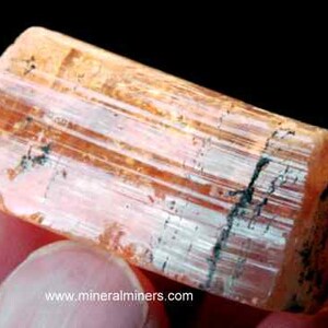 May include: A translucent, pink and orange, elongated, faceted crystal with black inclusions. The crystal has a striated surface and is approximately 3 inches long.