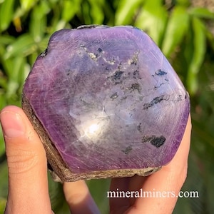 Giant Sapphire Crystal, 5800 carat Untreated Specimen, Purple Star Sapphire Crystal, Polished End Corundum, Purple Sapphire Museum Specimen