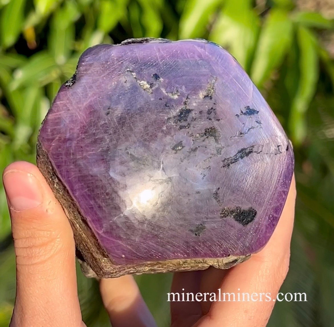 Giant Purple Sapphire Crystal, 5800 carat Untreated Sapphire Specimen, Polished End Corundum, Purple Sapphire Museum Rock