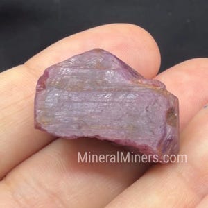 May include: A raw, unpolished ruby crystal with a translucent, purplish-red hue and visible natural striations across its surface. The gemstone features an irregular, angular shape with a textured appearance and the text MineralMiners.com.
