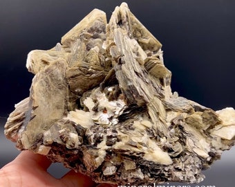 Muscovite Mica Specimen, Intergrown Muscovite with Albite, Raw Muscovite, Cleavelandite crystals, Brazilian Muscovite Mineral, Natural