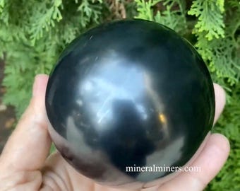 Puede incluir: Una esfera de obsidiana negra lisa con un acabado de alto brillo. La esfera es aproximadamente del tamaño de una pelota de béisbol y se sostiene en una mano. La esfera refleja la luz y tiene un color profundo y oscuro. mineralminers.com