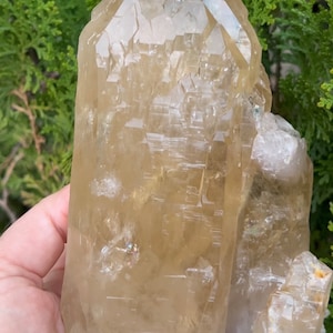 Natural Color Citrine Rough - photo was taken outside under indirect sunlight.
