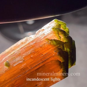 Terminated Orange Pink Tourmaline, 629 carats Tourmaline Crystal, Collector Orange Tourmaline with Green Tip Crystal, Tourmaline Specimen