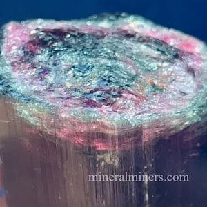 Watermelon Tourmaline Crystal Section, 215 grams Tourmaline Crystal, Collector Pink Tourmaline with Dark Green Tip, Tourmaline Gem Specimen