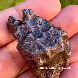 Sikhote-Alin Meteorite, 79.16 grams Genuine Meteorite, Space Rock, Thumb Print Meteorite, Collecting Meteorite, Extraterrestrial Unique Rock
