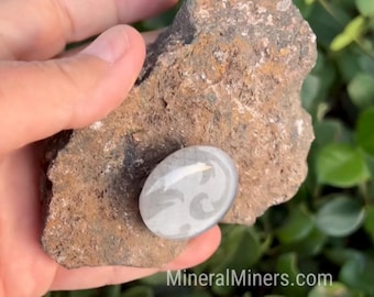 May include: A gray and white oval stone with a swirling design rests on a rough, brown rock. The stone is held in a hand, with green foliage in the background. The website MineralMiners.com is visible.