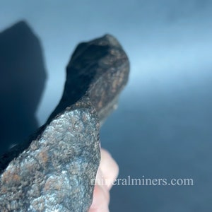 Großer seltener Gibeon Meteorit, echter Meteorit Space Rock, großer Eisen-Nickel Meteorit, Sammler Meteorit, außerirdischer Gibeon Kristall