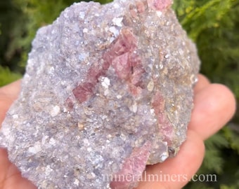Natural Pink Tourmaline Lepidolite Specimen, Brazilian Pegmatite Mineral, Lavender Mica Matrix, Collector Crystal, Geology Gift