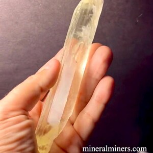 May include: A long, translucent, yellow crystal with striations. The crystal is about 6 inches long and is held in a hand.