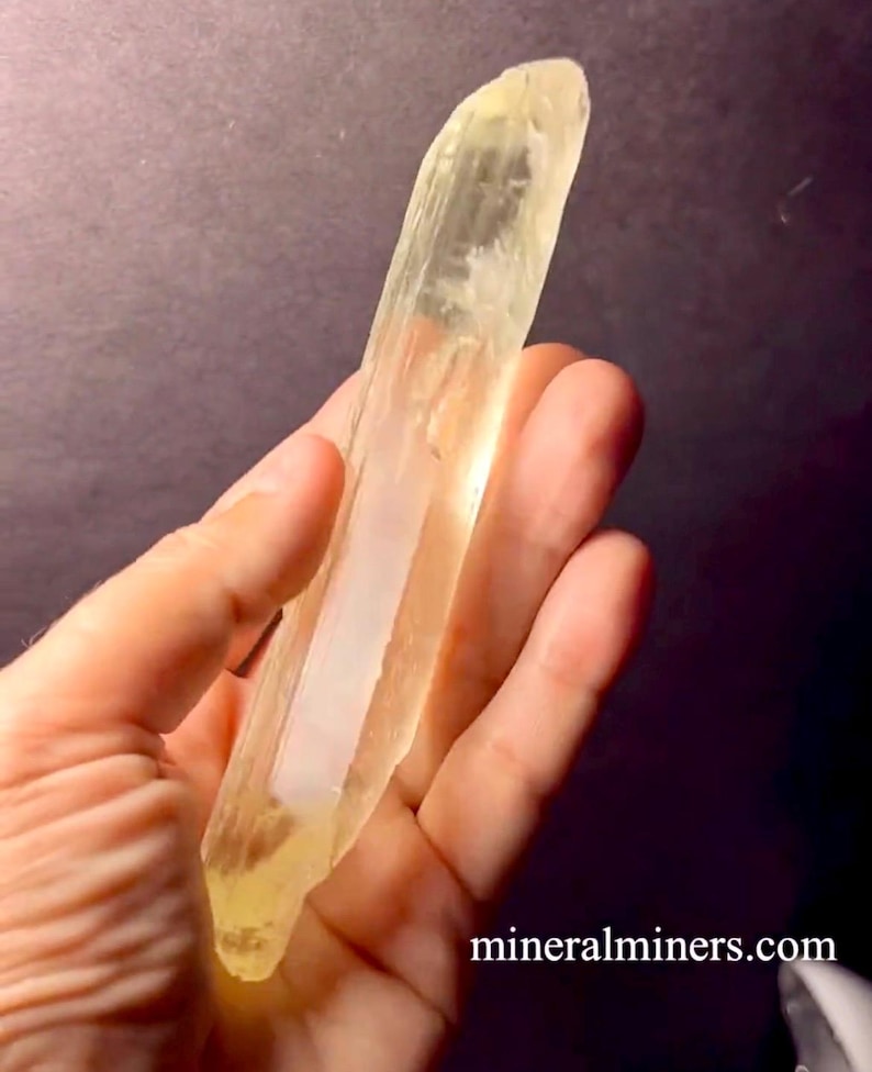 May include: A long, translucent, yellow crystal with striations. The crystal is about 6 inches long and is held in a hand.