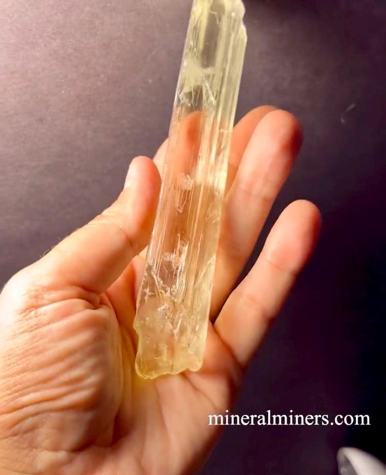 May include: A long, translucent, yellow crystal with striations. The crystal is held in a hand, and the background is a dark gray.