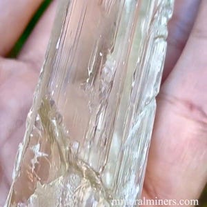 May include: A clear, translucent, elongated crystal with a striated surface. The crystal has a slightly yellowish hue and is held in a hand. The crystal is approximately 3 inches long.