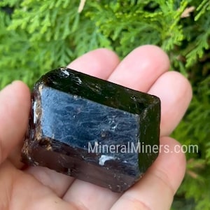 Dravite Tourmaline Crystal, 534 carats Brown Tourmaline Crystal, Natural Bi-Terminated Dravite, Hand Held Tourmaline Crystal, Tourmaline Gem