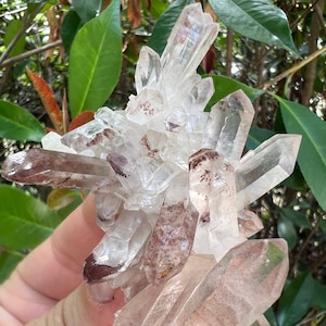 Harlequin Quartz Crystal Cluster, Hematoid Phantom Quartz, Hematite Included Quartz, Phantom Quartz Cluster, Healing Crystal + Gemstone