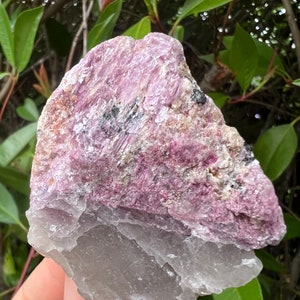 Black Tourmaline Matrix in Quartz Crystal w Lepidolite Mica,Purple Lepidolite Tourmaline Quartz,High Vibration Minerals, Energy Healing Tool