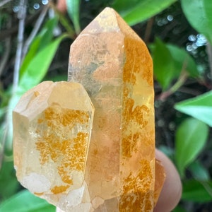 Tangerine Quartz Point Cluster, Quartz w Iron Oxide, Raw Tangerine Quartz Crystal, Sacral Chakra Healing Crystal, Altar Crystal, Gemstone