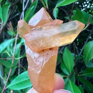 Tangerine Quartz Point Cluster, Quartz w Iron Oxide, Raw Tangerine Quartz Crystal, Sacral Chakra Healing Crystal, Altar Crystal, Gemstone