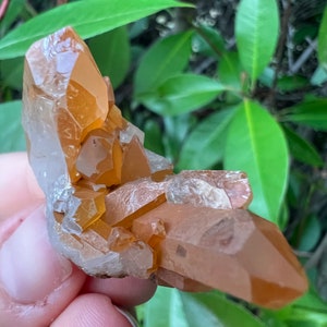 Tangerine Quartz Point Cluster, Quartz w Iron Oxide, Raw Tangerine Quartz Crystal, Sacral Chakra Healing Crystal, Altar Crystal, Gemstone