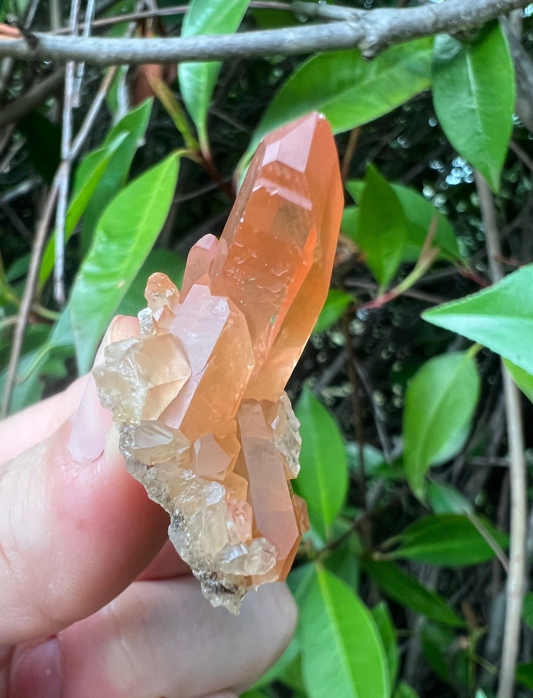 Tangerine Quartz Point Cluster, Quartz W Iron Oxide, Raw Tangerine