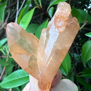 Tangerine Quartz Point Cluster, Quartz w Iron Oxide, Raw Tangerine Quartz Crystal, Sacral Chakra Healing Crystal, Altar Crystal, Gemstone
