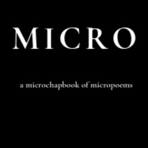 Puede incluir: Portada de libro con el título "MICRO" en letras mayúsculas blancas grandes. Debajo del título, el texto dice "a microchapbook of micropoems". El nombre del autor, "JULIETTE SEBOCK", está en la parte inferior. El fondo es negro liso.