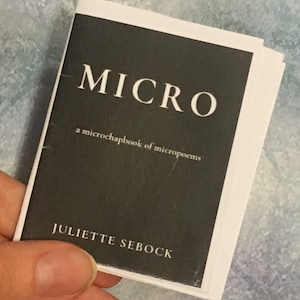 Micro: a microchapbook of micropoems by Juliette Sebock