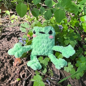 May include: A light green crocheted frog plush toy with black eyes and pink cheeks. The frog is sitting among green foliage and brown earth. The plush has a textured, fuzzy appearance and is in a playful pose.