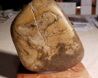 Joe Camel Gesicht, Looking Up, Natürliches Rockbild