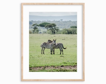 Naboisho Conservancy Zebra Friends Giclee Photo Print |  | Physical Photo Print | Hahnemuhle Photo Rag Matte Paper | Photography | Kenya