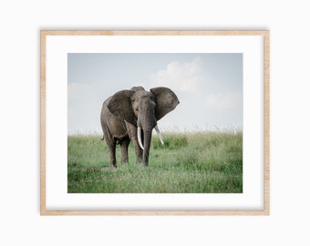 Friendly Elephant, Masai Mara Safari Giclee Photo Print |  | Physical Photo Print | Hahnemuhle Photo Rag Matte Paper | Photography | Kenya
