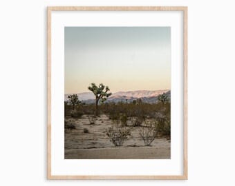 Dusky Joshua Tree & Desert Mountain Giclee Photo Print |  | Physical Print | Hahnemuhle Photo Rag Matte Paper | Photography | Landers, CA