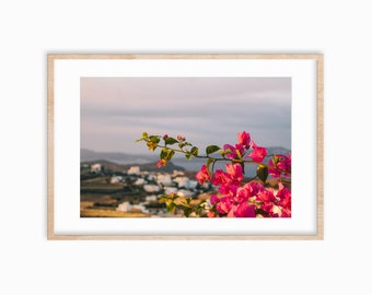 Bougainvillea Views Giclee Photo Print |  | Physical Photo Print | Hahnemuhle Photo Rag Matte Paper | Fine Art Photography | Milos, Greece