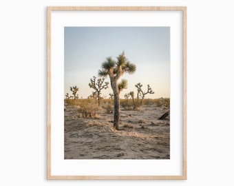 Joshua Trees Giclee Photo Print | Physical Photo Print | Hahnemuhle Photo Rag Matte Paper | Fine Art Photography | Yucca Valley, CA | Desert